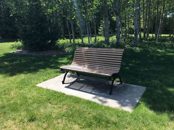 Empty bench in park