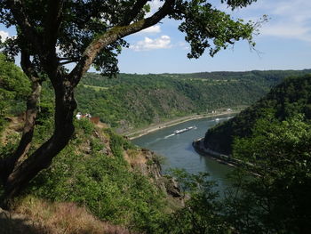 Scenic view of river amidst trees against sky