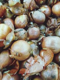 Full frame shot of pumpkins
