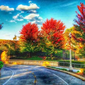 Road passing through autumn trees