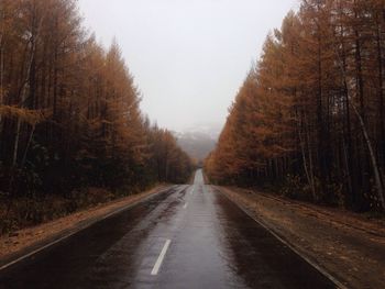 Road passing through trees