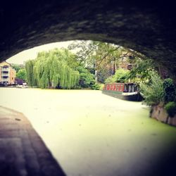 Bridge over river against trees