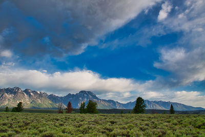 Scenic view of landscape against sky