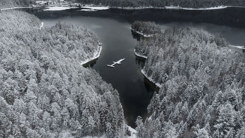 High angle view of rock