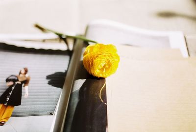 Close-up of yellow flower on table