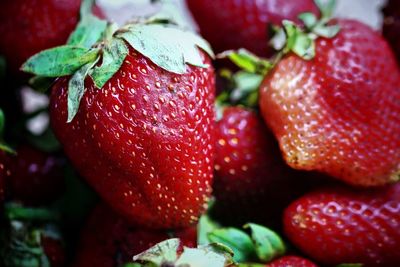 Close-up of strawberries on plate