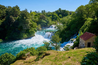 Scenic view of waterfall against trees