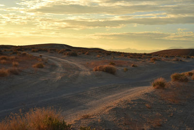 View of desert against cloudy sky