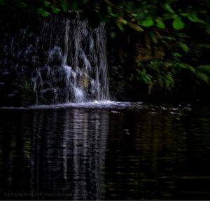 River flowing through forest