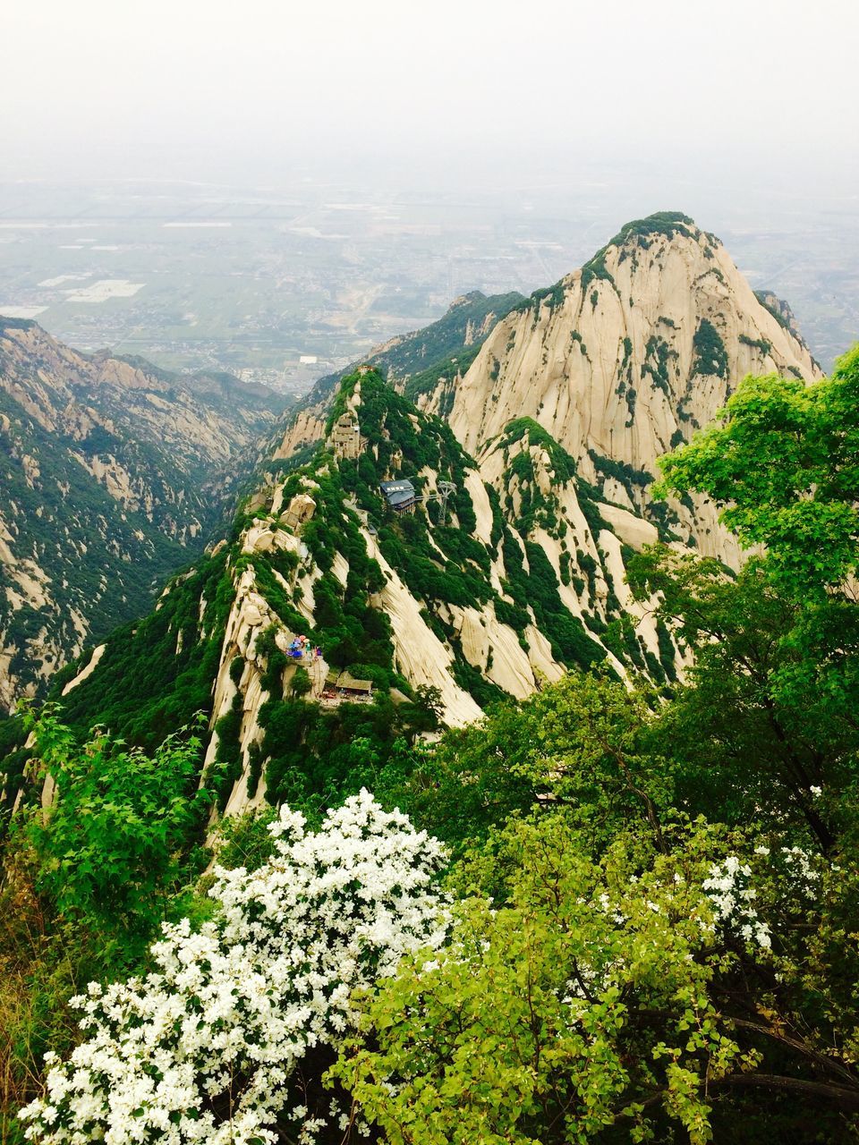 mountain, nature, beauty in nature, scenics, mountain range, tranquility, tranquil scene, day, landscape, outdoors, no people, tree, sky, scenery, high