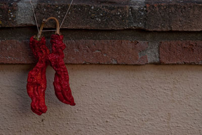 Close-up of clothes drying against wall