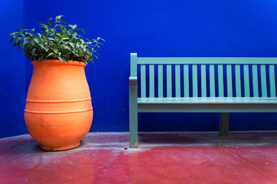 Bench by plant in urn against blue wall