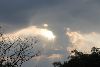 Low angle view of silhouette trees against sky during sunset