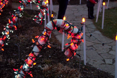 Close-up of string light on candy cane