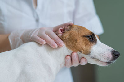 Midsection of man with dog