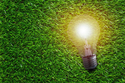 High angle view of illuminated light bulb on field