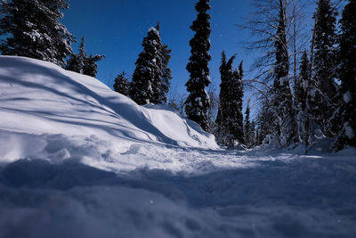 Trees on snow covered landscape against blue sky