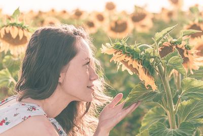 Woman looking at sunflower plants