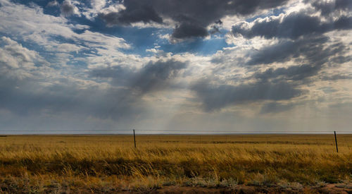 Scenic view of field against sky