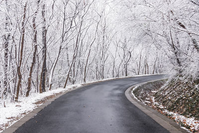 Road amidst trees against sky