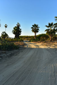 Road amidst trees against clear blue sky