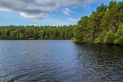 Scenic view of lake by trees against sky