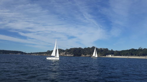 Sailboat sailing on sea against sky