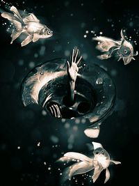 Fish swimming in sea