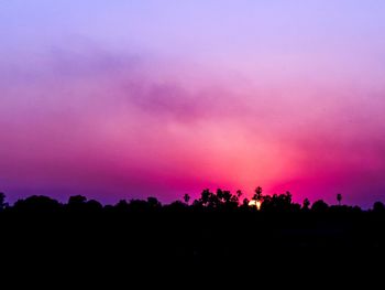 Silhouette trees against sky at night