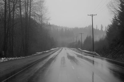 Surface level of empty road in forest