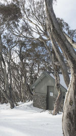 Trees on snow covered field against sky