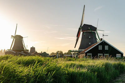 Rural landscape with windmills at golden hour.