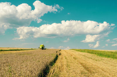 Scenic view of agricultural field against sky
