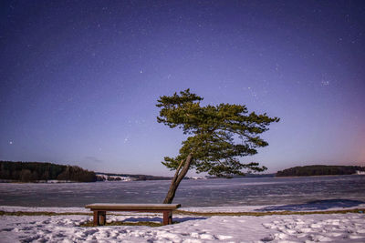 Tree on snow covered landscape against clear sky at night