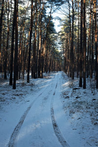 Snow covered road amidst trees in forest