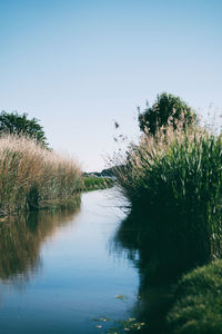 Scenic view of lake against clear blue sky