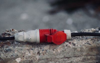 Close-up of red toy box