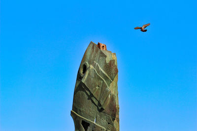 Low angle view of bird flying against blue sky