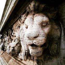 human representation