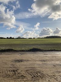 Scenic view of agricultural field against sky