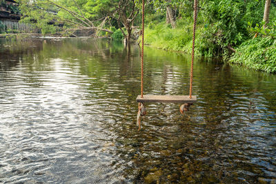 Scenic view of lake in forest