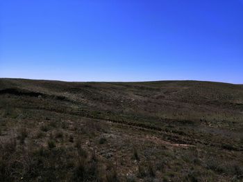 Scenic view of field against clear blue sky