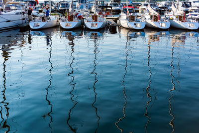 Sailboats moored in harbor