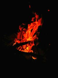 Close-up of bonfire at night