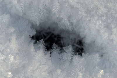 Close-up of snow on white surface