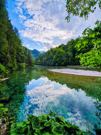 Scenic view of lake by trees against sky