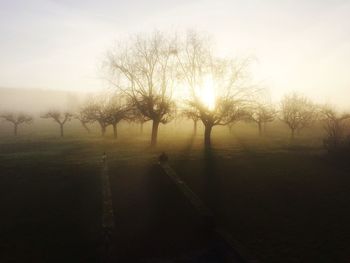 Scenic view of field during sunset