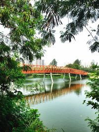 Bridge over lake