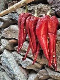 Close-up of red chili peppers