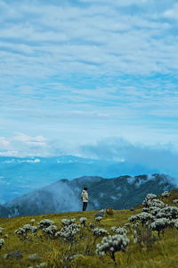 The mountains of gede pangrango in west java indonesia